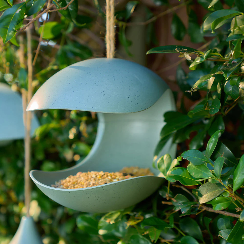 Bamboo Pot Bird House