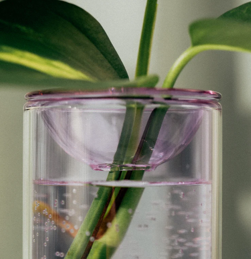 Studio Milligram Propagation Vase