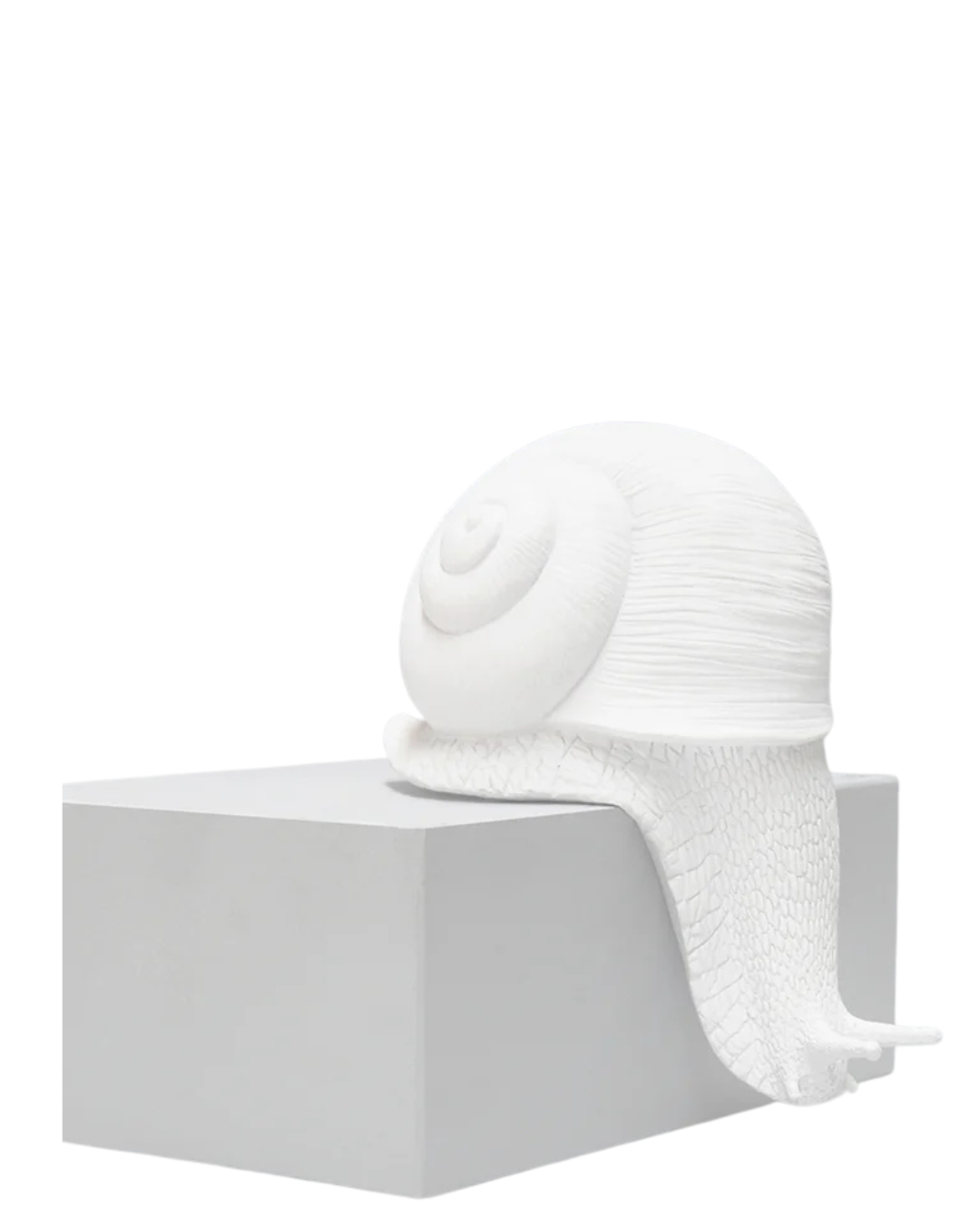 Shelf Snail