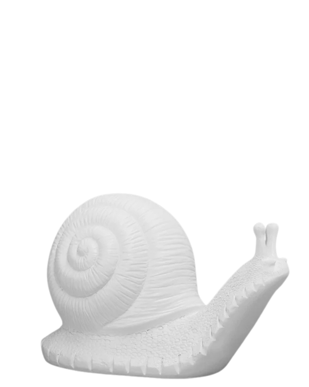 Table Snail