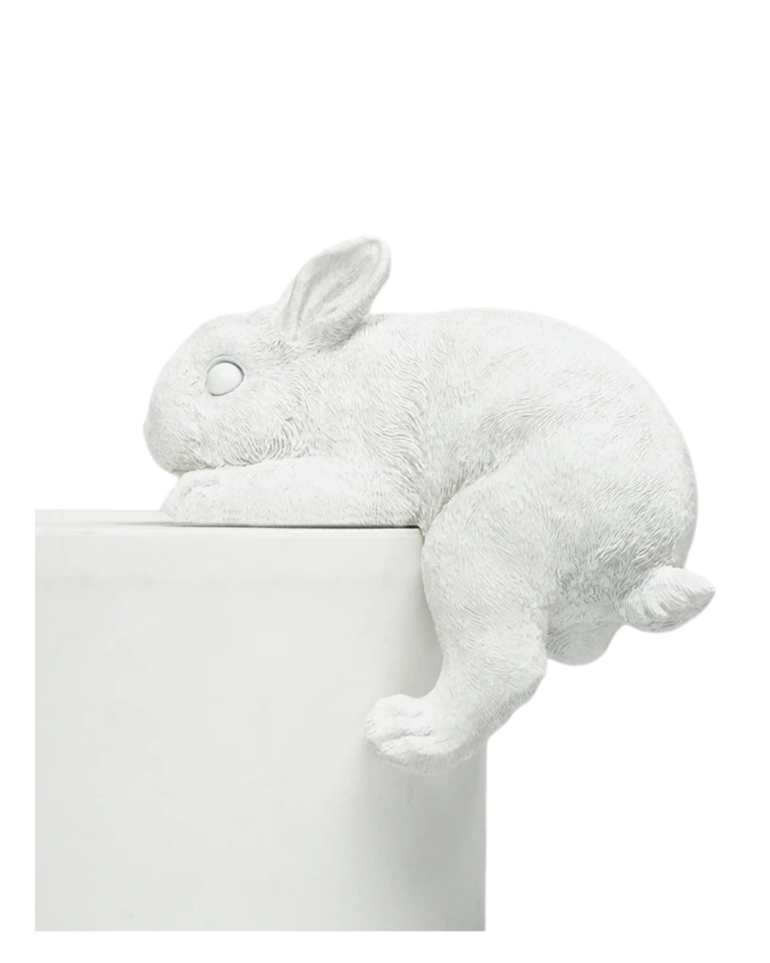 Shelf Bunny